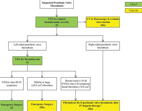 left ventricular thrombus chest guidelines